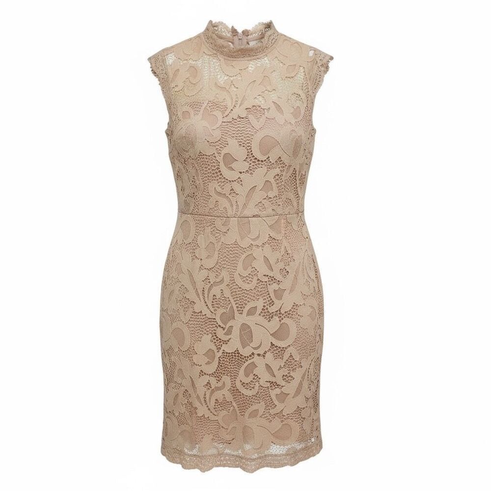 Sans Souci Lined Sleeveless Lace Ballerina Cut Out Mini Dress Light Pink Large